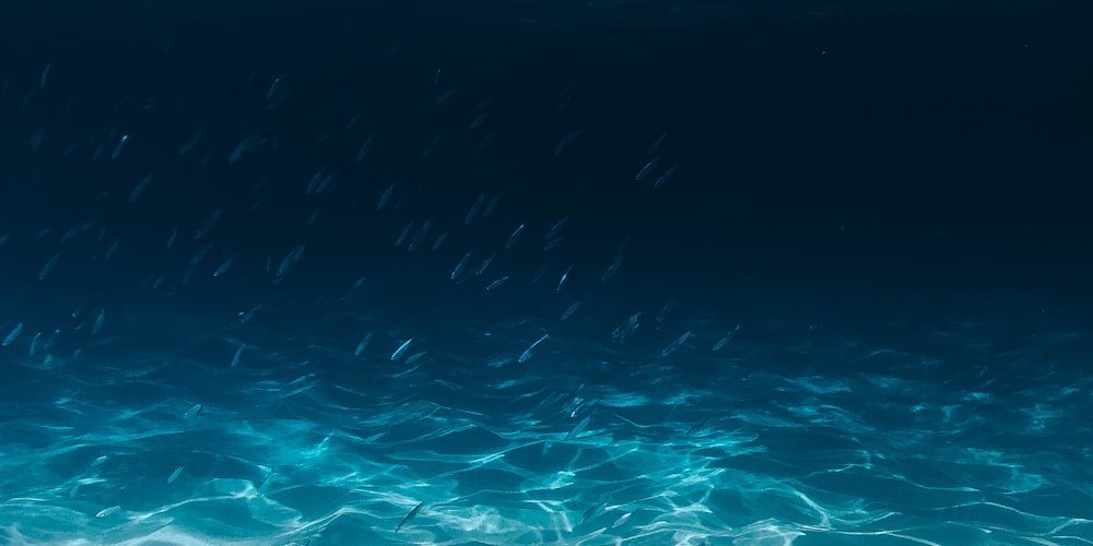 Стакан воды и бутылка во время поездки по Вьетнаму